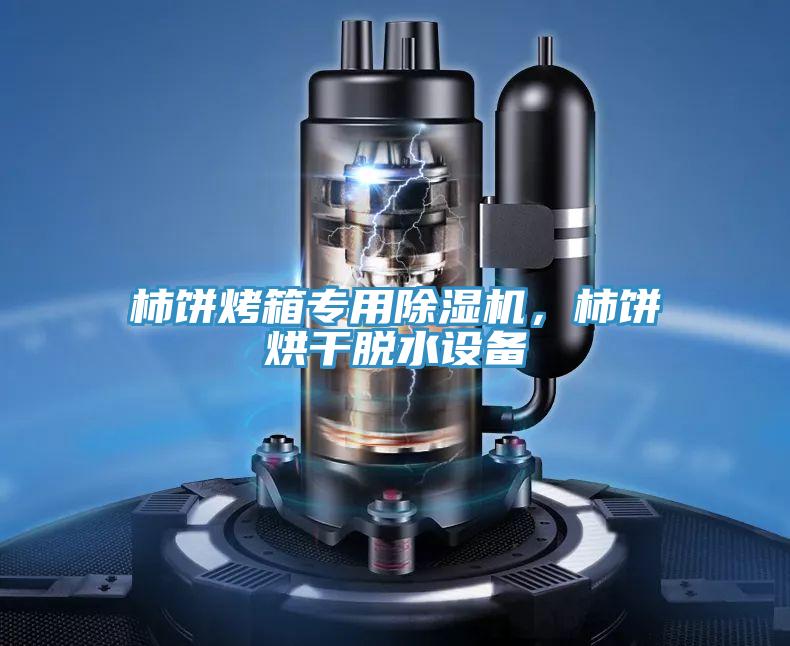 柿餅烤箱專(zhuān)用除濕機(jī)，柿餅烘干脫水設(shè)備
