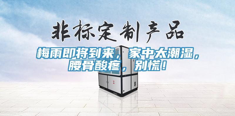 梅雨即將到來，家中太潮濕，腰骨酸疼，別慌！