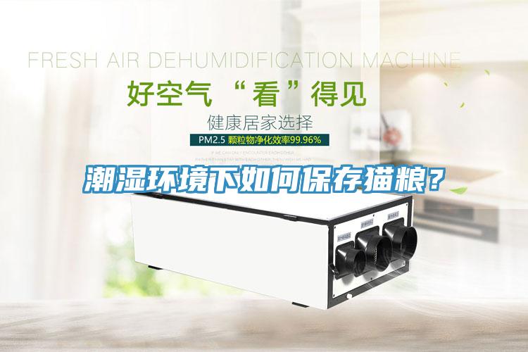 潮濕環(huán)境下如何保存貓糧？