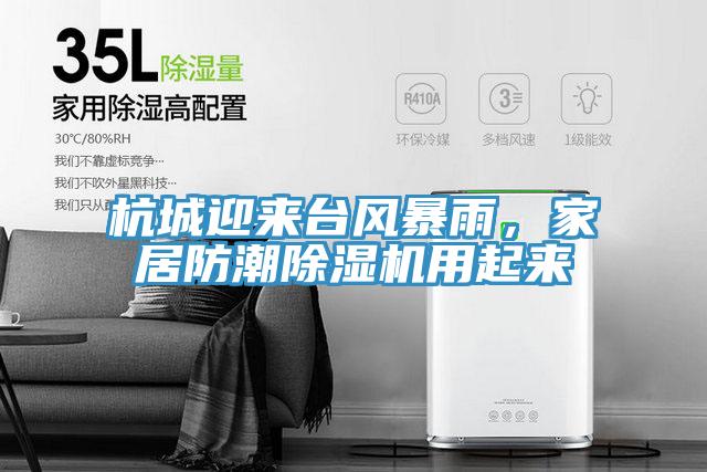 杭城迎來臺風暴雨，家居防潮除濕機用起來