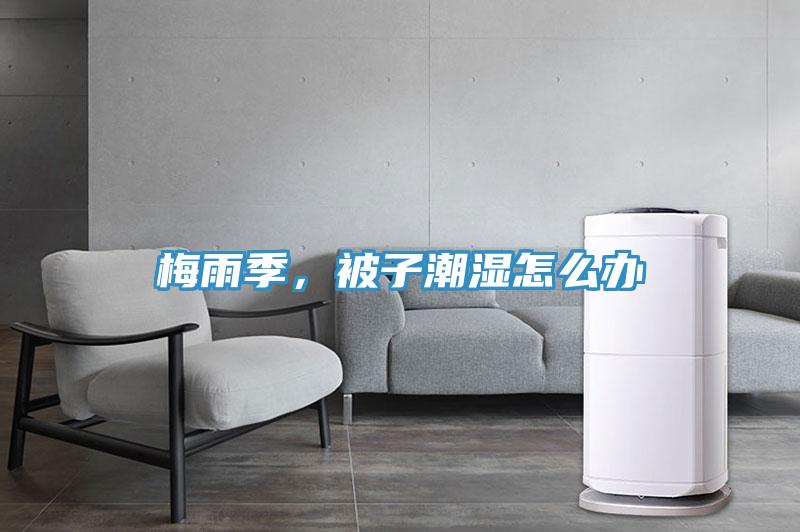 梅雨季，被子潮濕怎么辦