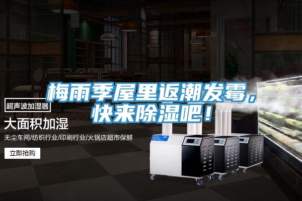 梅雨季屋里返潮發(fā)霉，快來(lái)除濕吧！