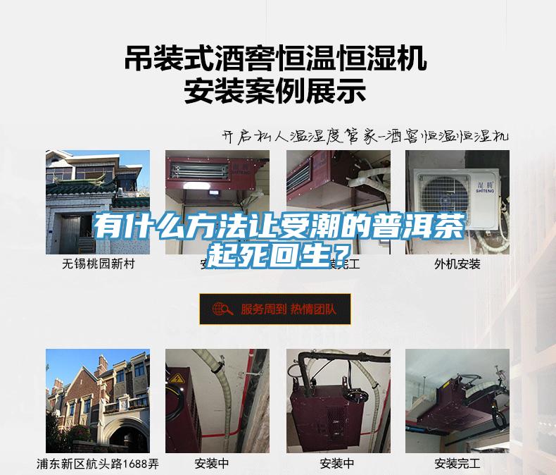 有什么方法讓受潮的普洱茶起死回生？