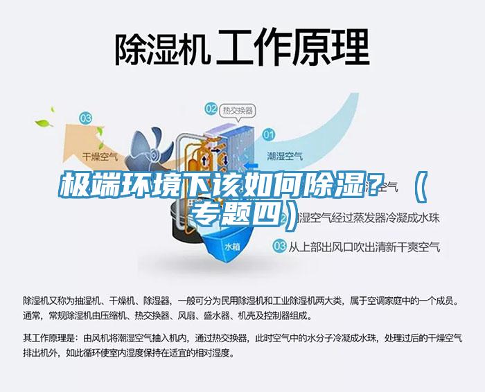 極端環(huán)境下該如何除濕？（專題四）