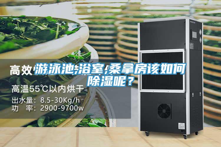游泳池,浴室,桑拿房該如何除濕呢？