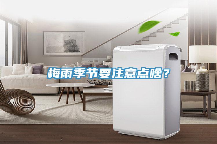 梅雨季節(jié)要注意點(diǎn)啥？