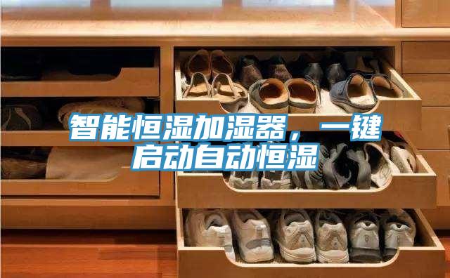 智能恒濕加濕器，一鍵啟動(dòng)自動(dòng)恒濕