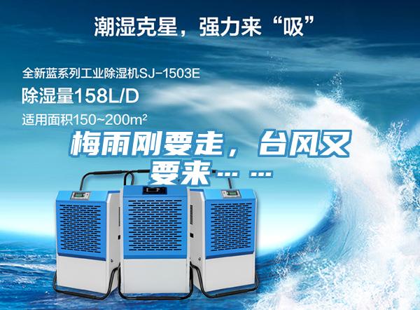 梅雨剛要走，臺風(fēng)又要來……