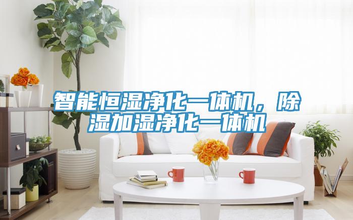 智能恒濕凈化一體機(jī)，除濕加濕凈化一體機(jī)