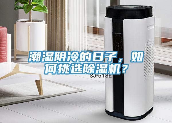 潮濕陰冷的日子，如何挑選除濕機(jī)？
