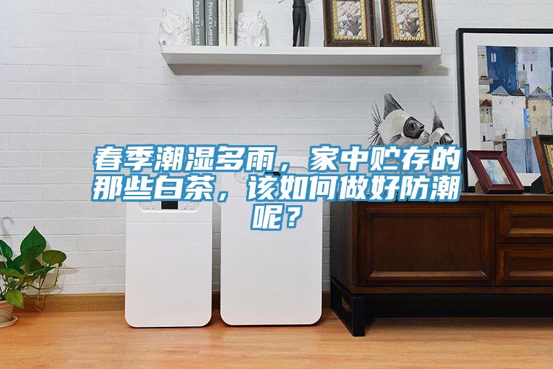 春季潮濕多雨，家中貯存的那些白茶，該如何做好防潮呢？