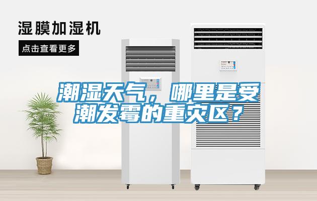 潮濕天氣，哪里是受潮發(fā)霉的重災(zāi)區(qū)？