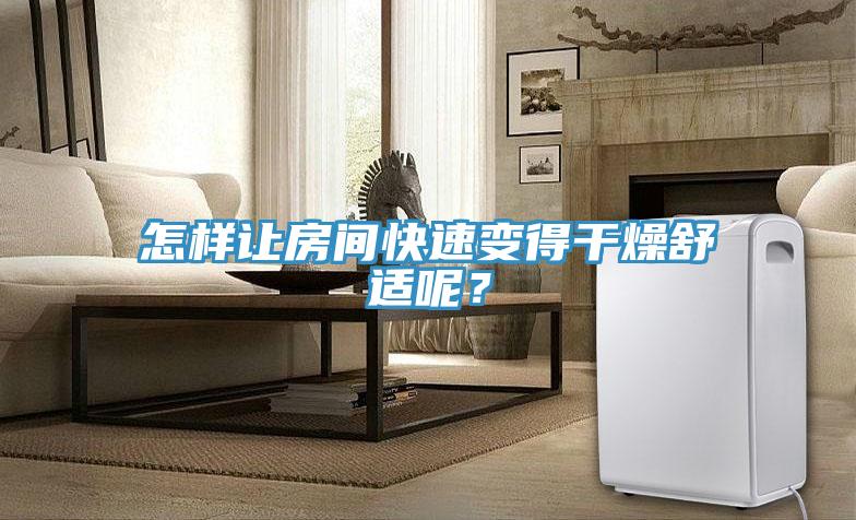 怎樣讓房間快速變得干燥舒適呢？