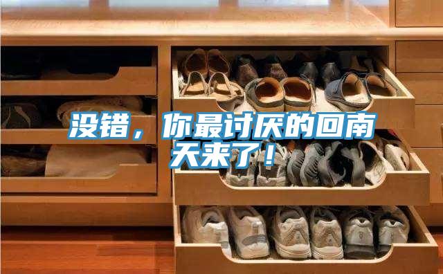 沒錯，你最討厭的回南天來了！