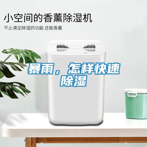 暴雨，怎樣快速除濕