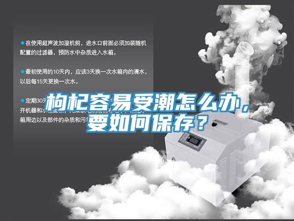 枸杞容易受潮怎么辦，要如何保存？