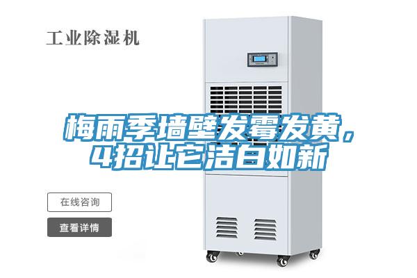梅雨季墻壁發(fā)霉發(fā)黃，4招讓它潔白如新
