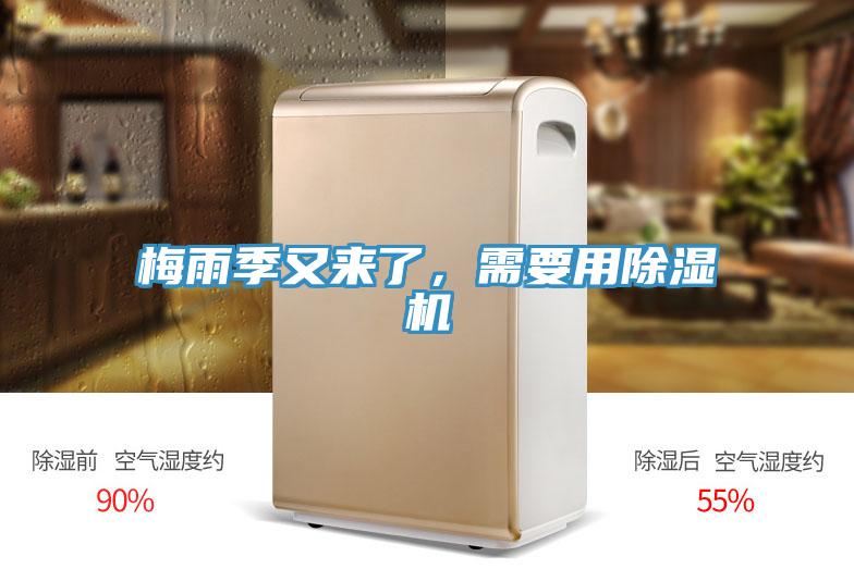 梅雨季又來了，需要用除濕機
