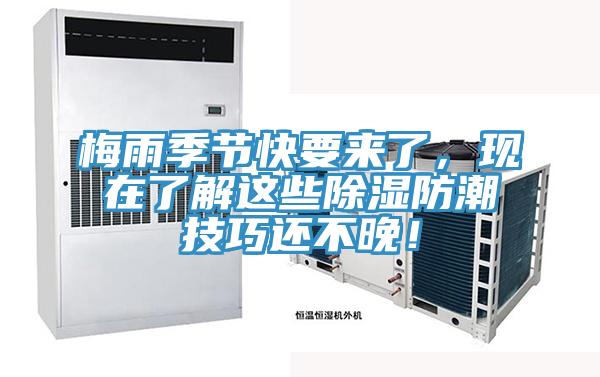 梅雨季節(jié)快要來(lái)了，現(xiàn)在了解這些除濕防潮技巧還不晚！