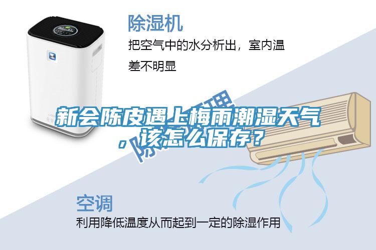 新會(huì)陳皮遇上梅雨潮濕天氣，該怎么保存？