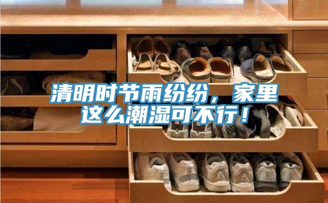 清明時(shí)節(jié)雨紛紛，家里這么潮濕可不行！