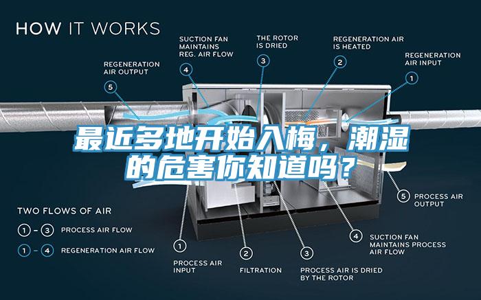 最近多地開始入梅，潮濕的危害你知道嗎？