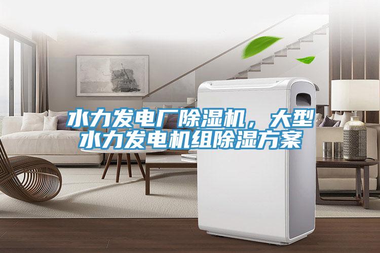 水力發(fā)電廠除濕機，大型水力發(fā)電機組除濕方案