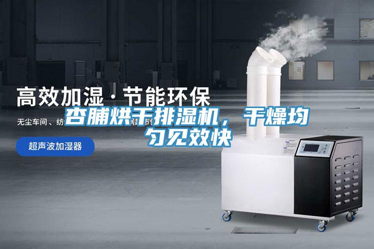 杏脯烘干排濕機，干燥均勻見效快