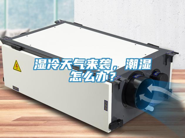 濕冷天氣來(lái)襲，潮濕怎么辦？