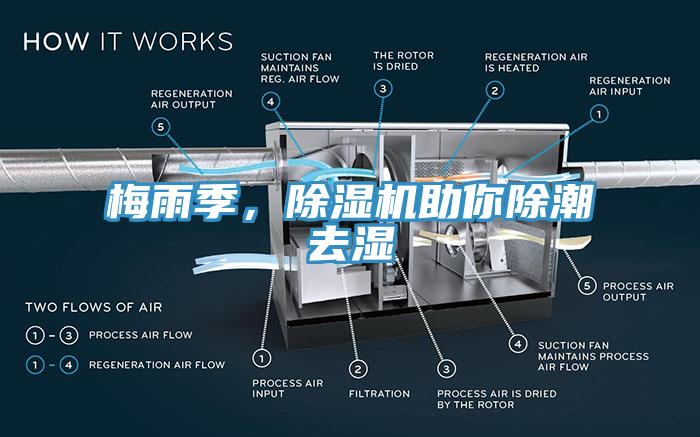 梅雨季，除濕機助你除潮去濕