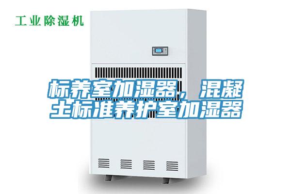 標(biāo)養(yǎng)室加濕器，混凝土標(biāo)準(zhǔn)養(yǎng)護(hù)室加濕器