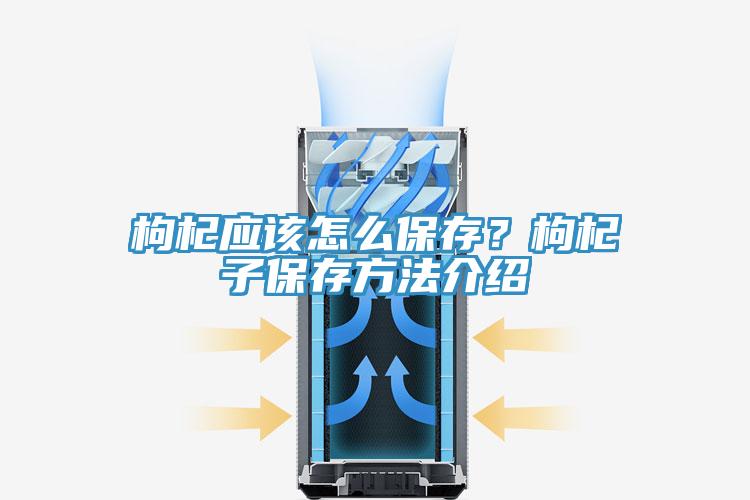 枸杞應(yīng)該怎么保存？枸杞子保存方法介紹