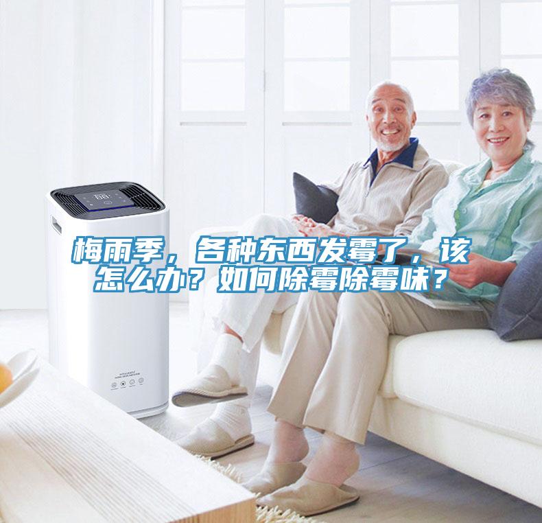 梅雨季，各種東西發(fā)霉了，該怎么辦？如何除霉除霉味？