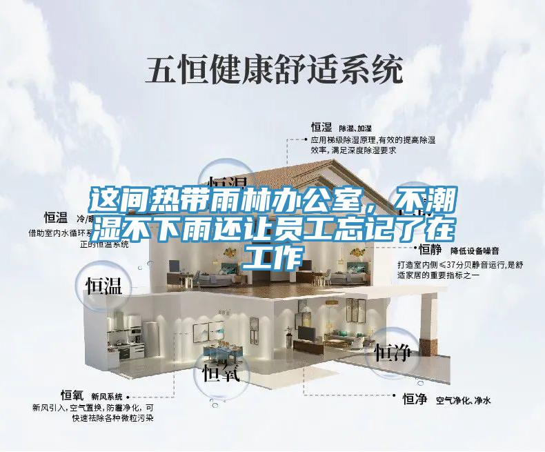 這間熱帶雨林辦公室，不潮濕不下雨還讓員工忘記了在工作