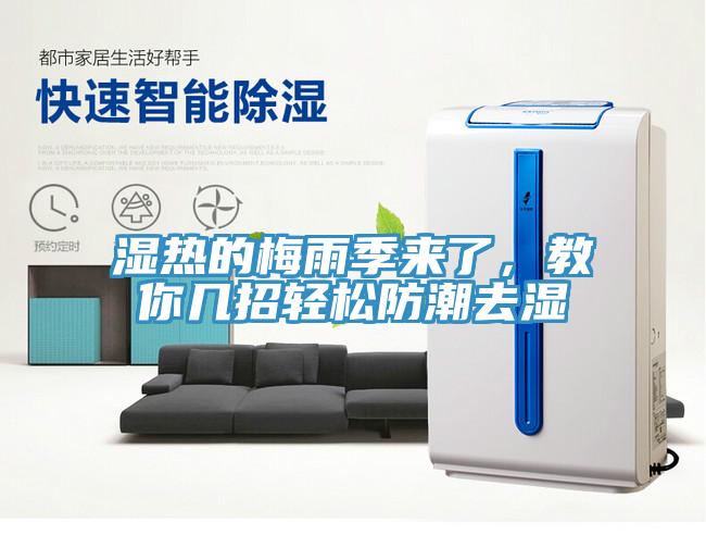 濕熱的梅雨季來了，教你幾招輕松防潮去濕