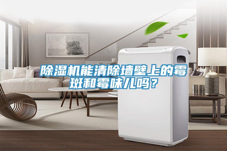 除濕機(jī)能清除墻壁上的霉斑和霉味兒嗎？