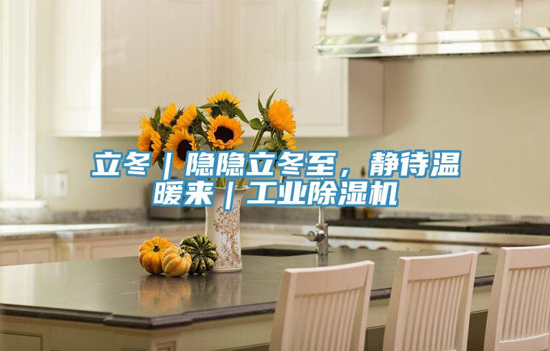 立冬｜隱隱立冬至，靜待溫暖來(lái)｜工業(yè)除濕機(jī)