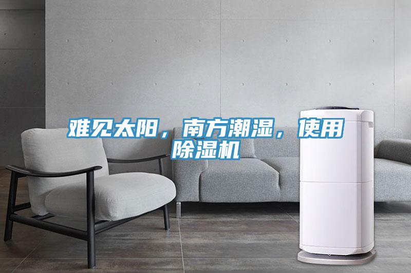 難見太陽，南方潮濕，使用除濕機