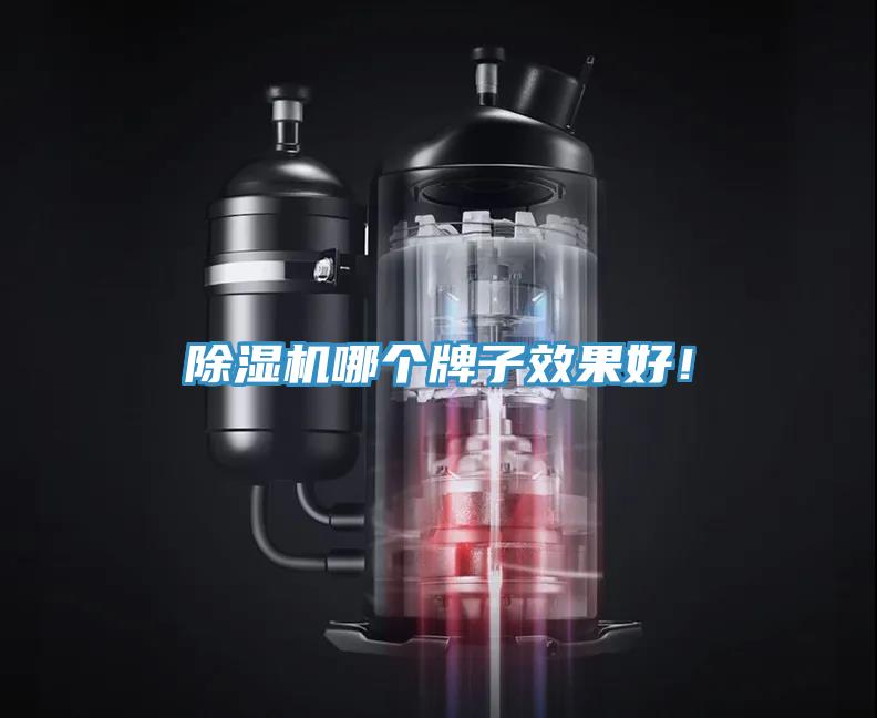 除濕機哪個牌子效果好！