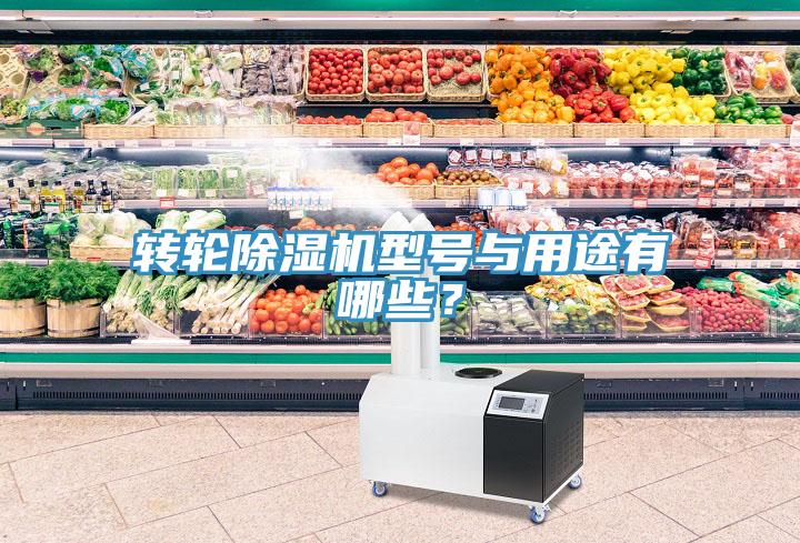 轉(zhuǎn)輪除濕機型號與用途有哪些？