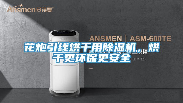 花炮引線烘干用除濕機，烘干更環(huán)保更安全