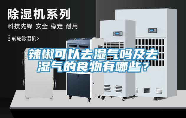 辣椒可以去濕氣嗎及去濕氣的食物有哪些？