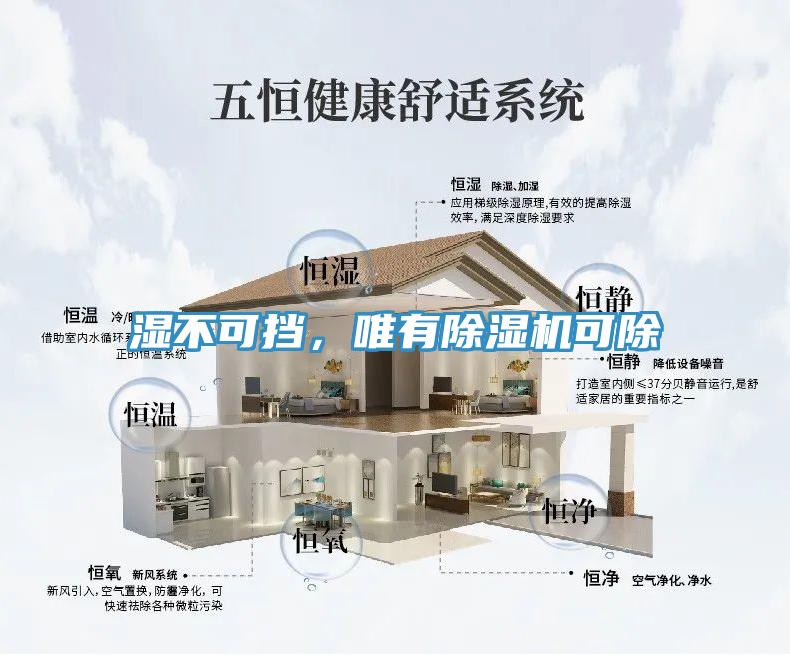 濕不可擋，唯有除濕機可除