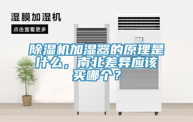 除濕機(jī)加濕器的原理是什么，南北差異應(yīng)該買哪個(gè)？