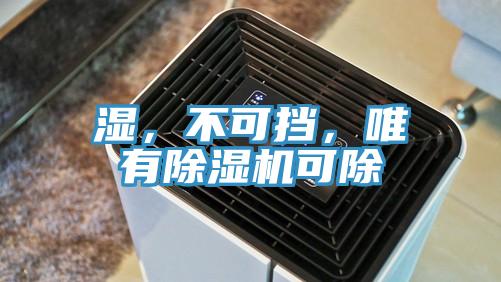 濕，不可擋，唯有除濕機(jī)可除