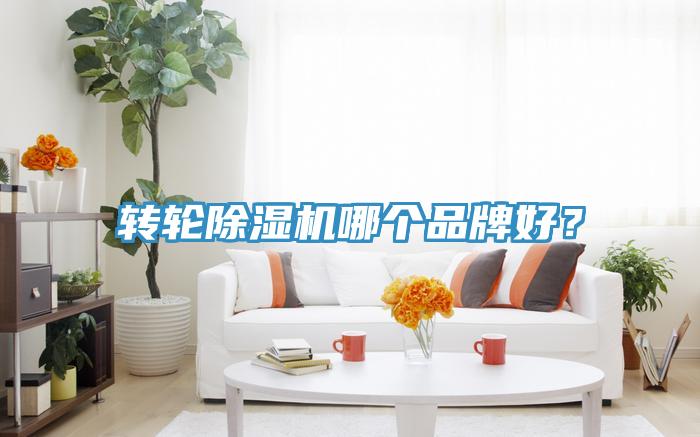 轉輪除濕機哪個品牌好？