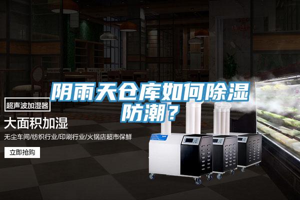 陰雨天倉庫如何除濕防潮？