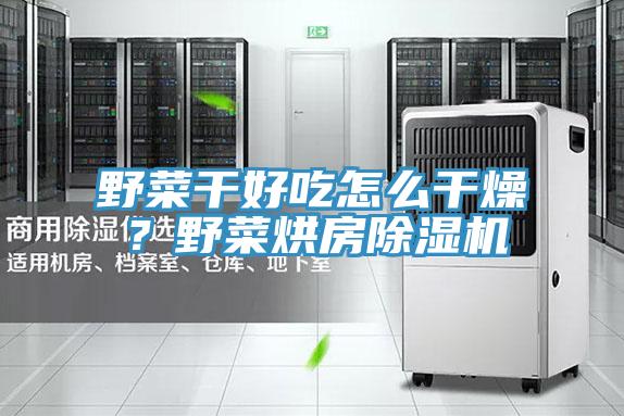 野菜干好吃怎么干燥？野菜烘房除濕機(jī)