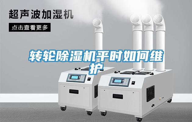 轉(zhuǎn)輪除濕機(jī)平時如何維護(hù)