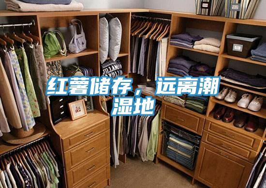 紅薯儲(chǔ)存，遠(yuǎn)離潮濕地